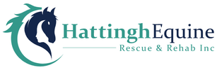 Hattingh Equine Rescue and Rehab Inc